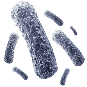 disinfection_bacteria_slider